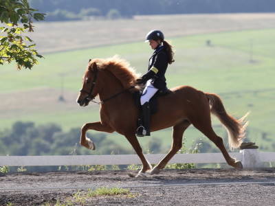 Dilja Fiona Vilhjalmsdottir Menzinger